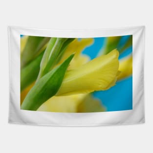 Gladiolus  'Jacksonville Gold' Tapestry