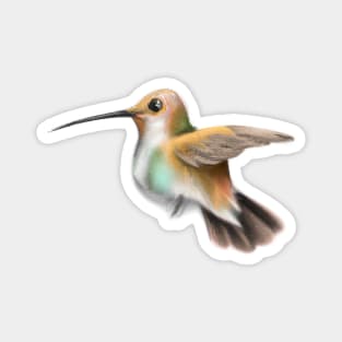 Cute Hummingbird Drawing Magnet