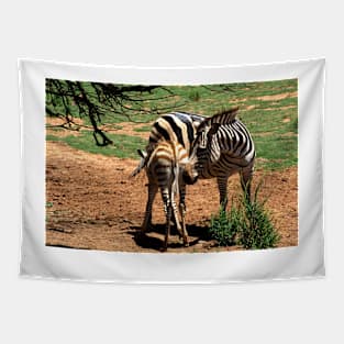 Zebra Mother & Foal Tapestry