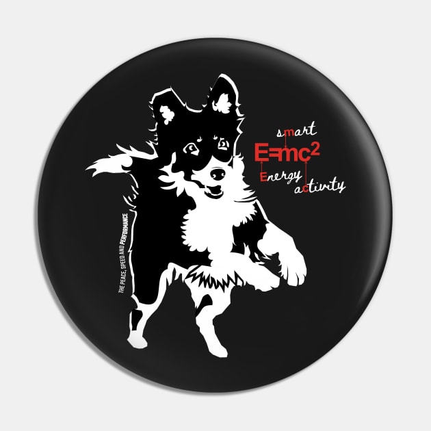 EMC2 - FOR SMART LOVERS OF SMART BORDERCOLLIES Pin by islandb