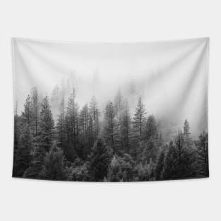 monochrome mist Tapestry