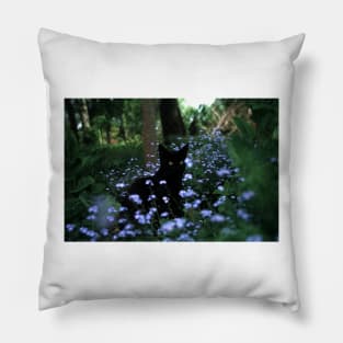 Black tomcat Paule in the flowerbed Pillow