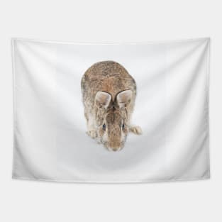 Eastern Cottontail Tapestry