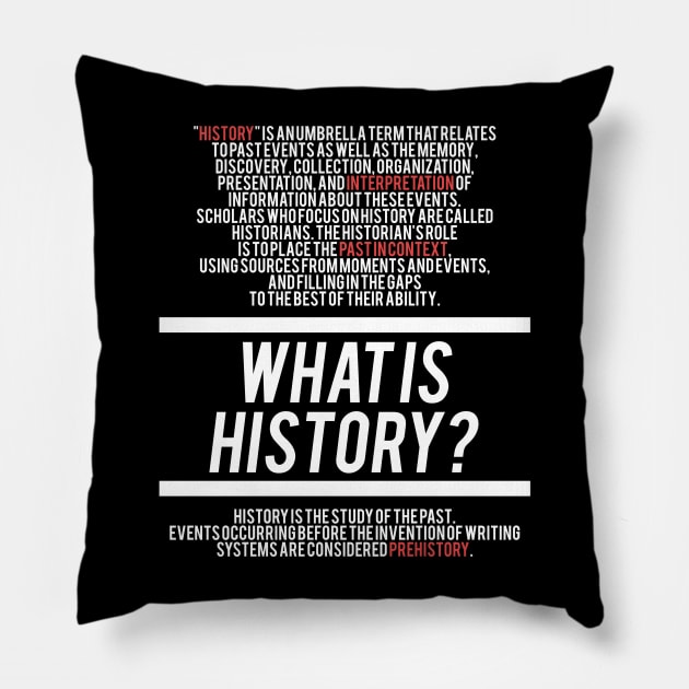 History Defined - History Teacher Pillow by Hidden Verb