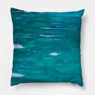 Blue Water Springs Florida Nature Pillow