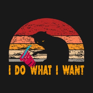 i do what i want T-Shirt