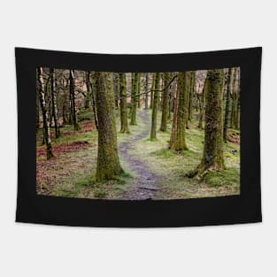 Through the woods Tapestry