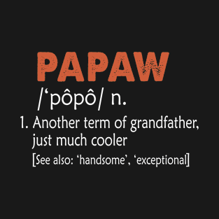 Papaw Like a Grandfather But So Much Cooler Definition Xmas T-Shirt