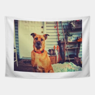 Black mouth cur dog. Tapestry