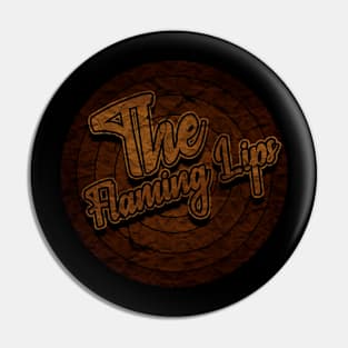 Circle Retro The Flaming Lips Pin