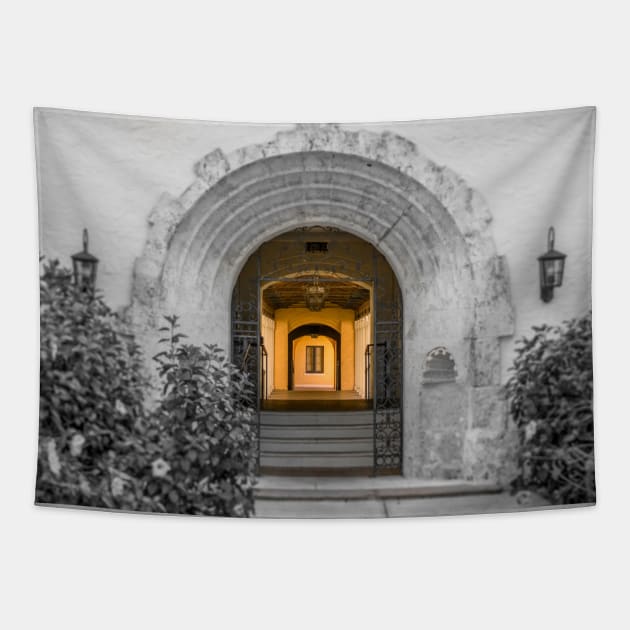 Rollins Passageway Tapestry by Enzwell