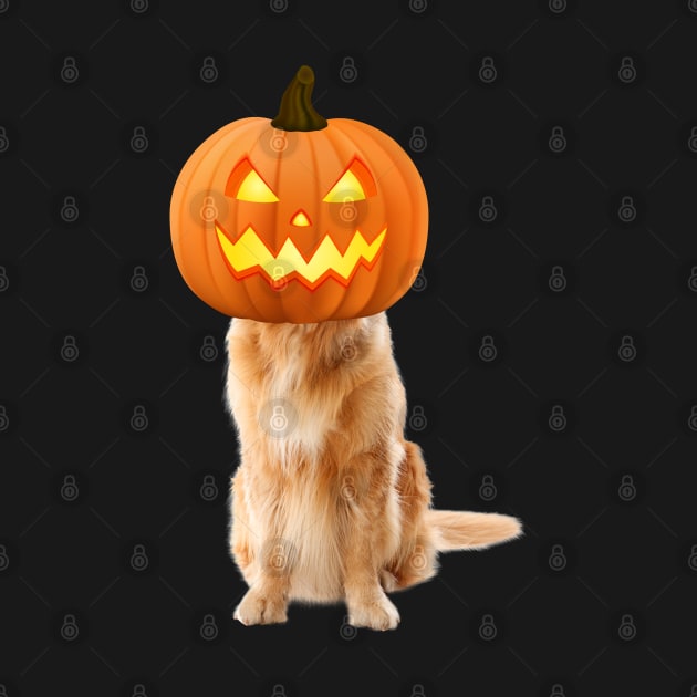 labrador retriever is a Jack-o-Lantern by Aldrvnd