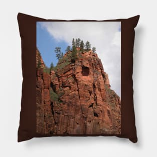 Pines Atop Red Rock Pillow