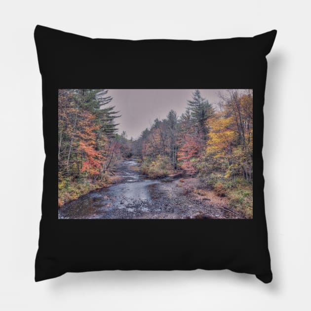 Crooked River Autumn Pillow by BeanME