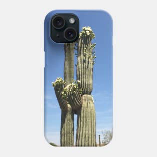 Cacti couple Phone Case