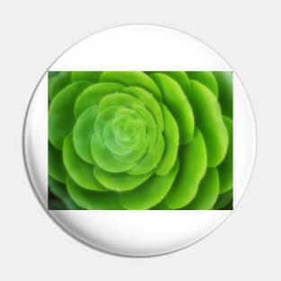 Succulent Pin