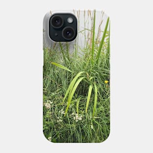 Green grass, summer Phone Case