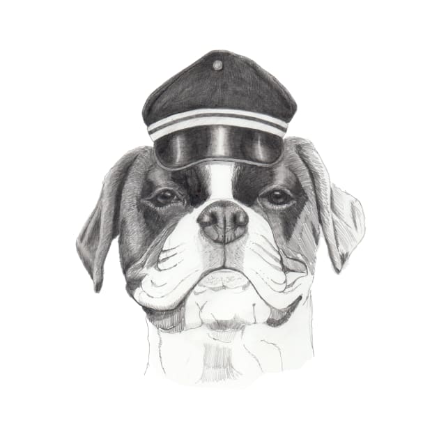 Boxer with cap by doggyshop