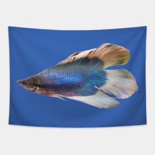 Majestic Blue Betta Fish Tapestry