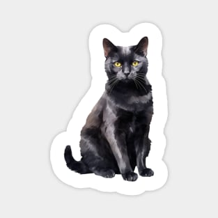 Bombay Cat Magnet