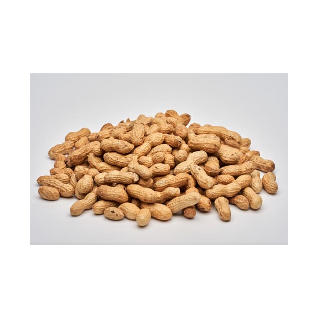 Dried peanuts on white background by naturalis