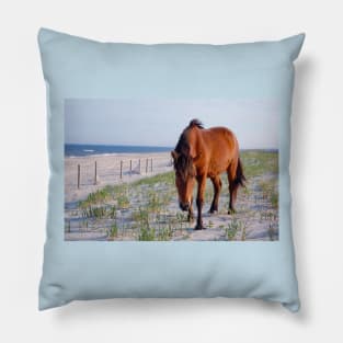 Wild horses, wildlife, Assateague Island, Mystic Beauty Pillow