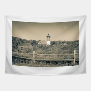 Nauset Beach,  Seashore and lighthouse. Cape Cod, USA.  imagine this on a  card or as wall art fine art canvas or framed print on your wall Tapestry