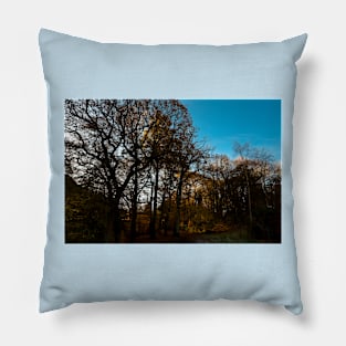 Plessey Woods, Bedlington Pillow