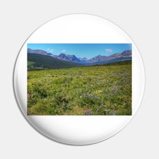 Glacier National Park Wild Flowers Pin