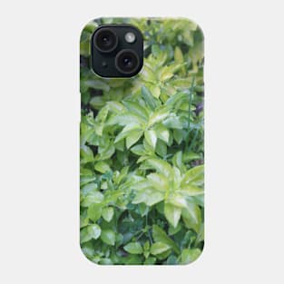 green plants Phone Case