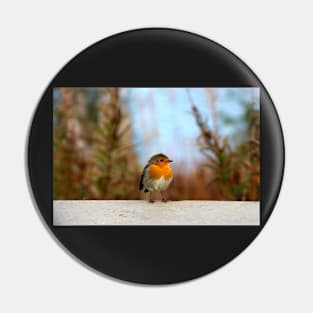 Robin Pin