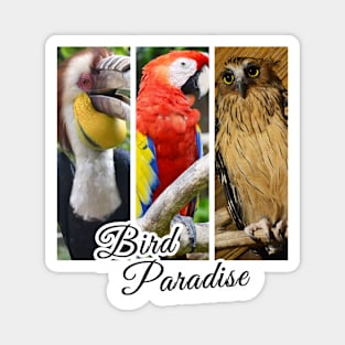 Bird Paradise Magnet