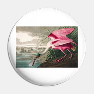 Roseate Spoonbill Robert Havell after John James Audubon 1827 Art Print Pin