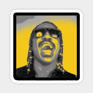 Shunshine Stevie Wonder Grey Magnet