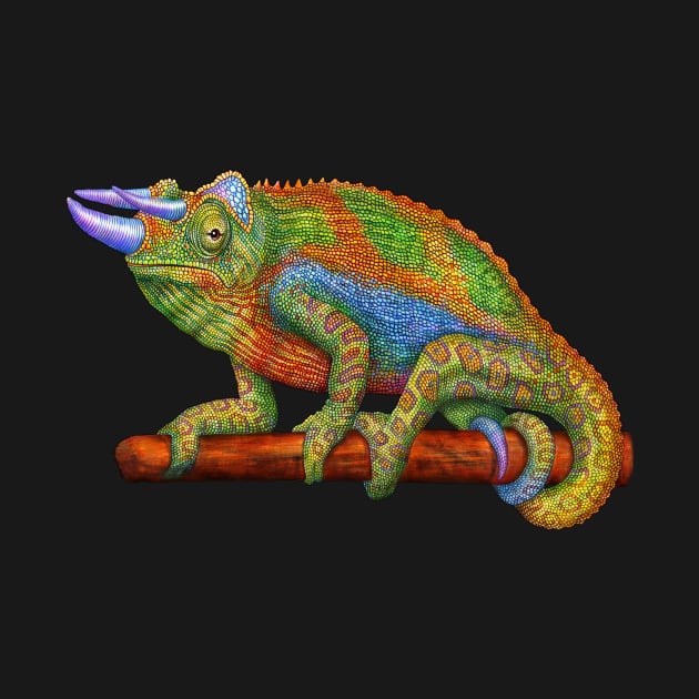 Jackon's Chameleon by Tim Jeffs Art