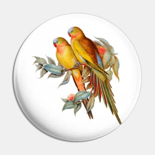 Princess of Wales Parakeet Vintage Illustration Pin