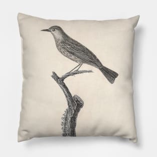 The Red-Headed Warbler Pillow