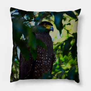 Eagle blue Pillow