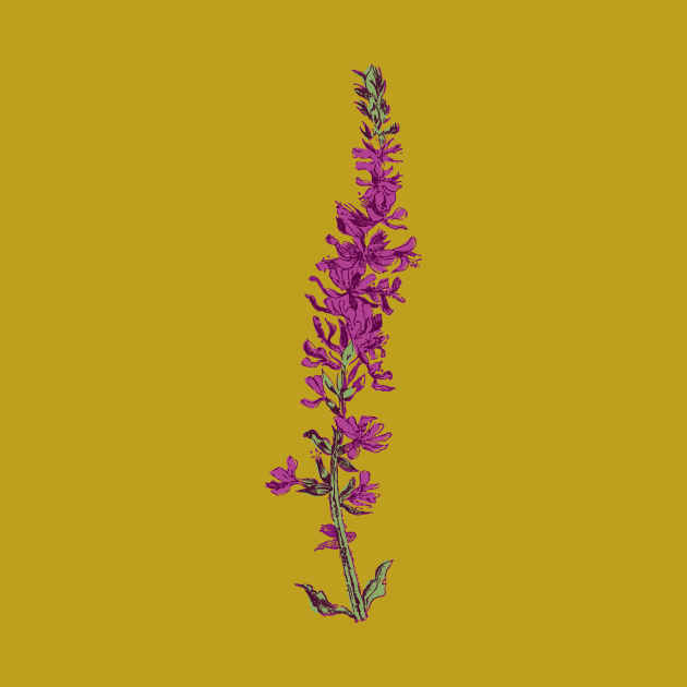Vintage florals - Purple Loosestrife by VrijFormaat
