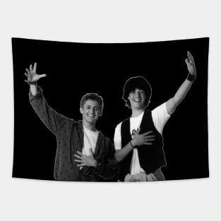 Bill and Ted Tapestry