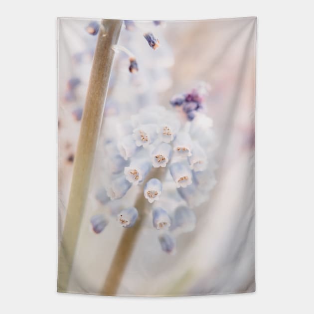 Muscari Art Print | Flower Photography | Atmospheric Grape Hyacinth Close-up Tapestry by Melissa Peltenburg Travel Photography