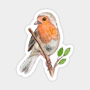 Robin Red Breast Bird Watercolor Magnet