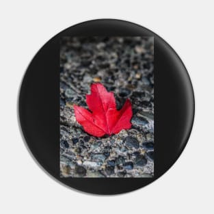 Red leaf Pin