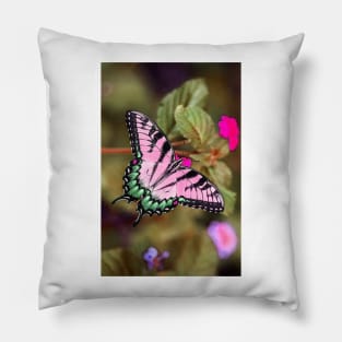 Pink Butterfly Pillow