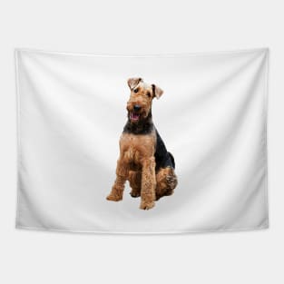 Airedale Terrier Stunning Dog Breed Tapestry