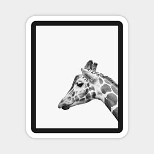 Minimal giraffe print Magnet