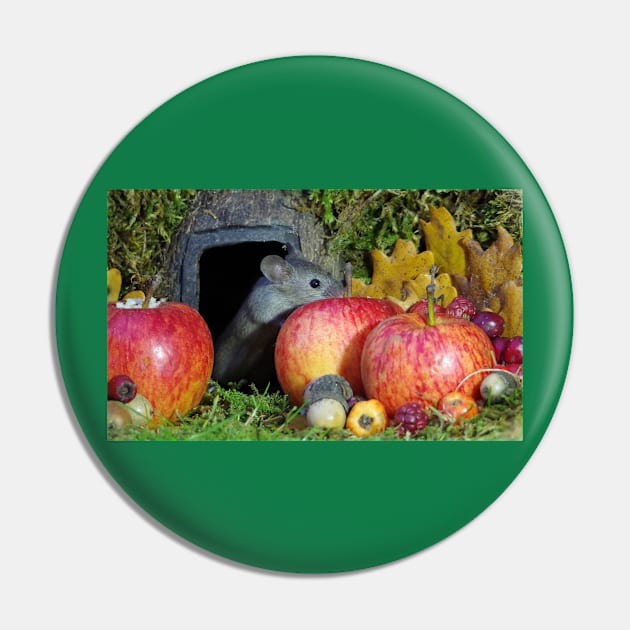 wild house mouse  in a apple Pin by Simon-dell