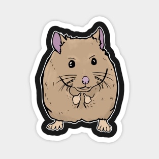 Cute Mouse Holding Middle finger funny gift Magnet