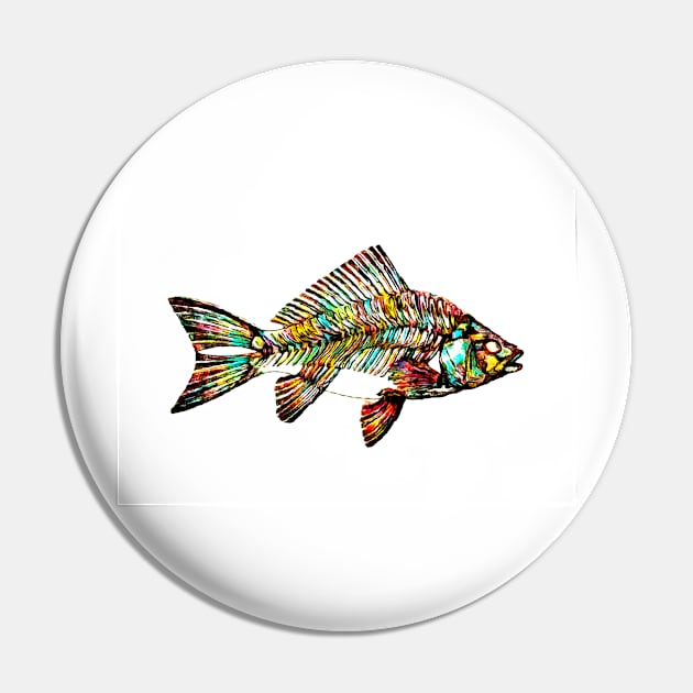 Not all goldfish are gold Pin by PictureNZ