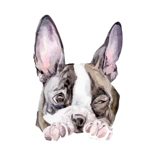 Boston Terrier Puppy T-Shirt